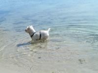 Klik op de foto voor groter formaat